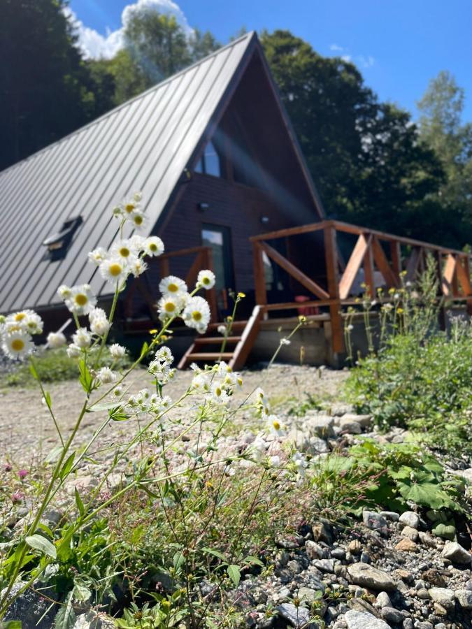 Wild Cabin มาลายา ภายนอก รูปภาพ