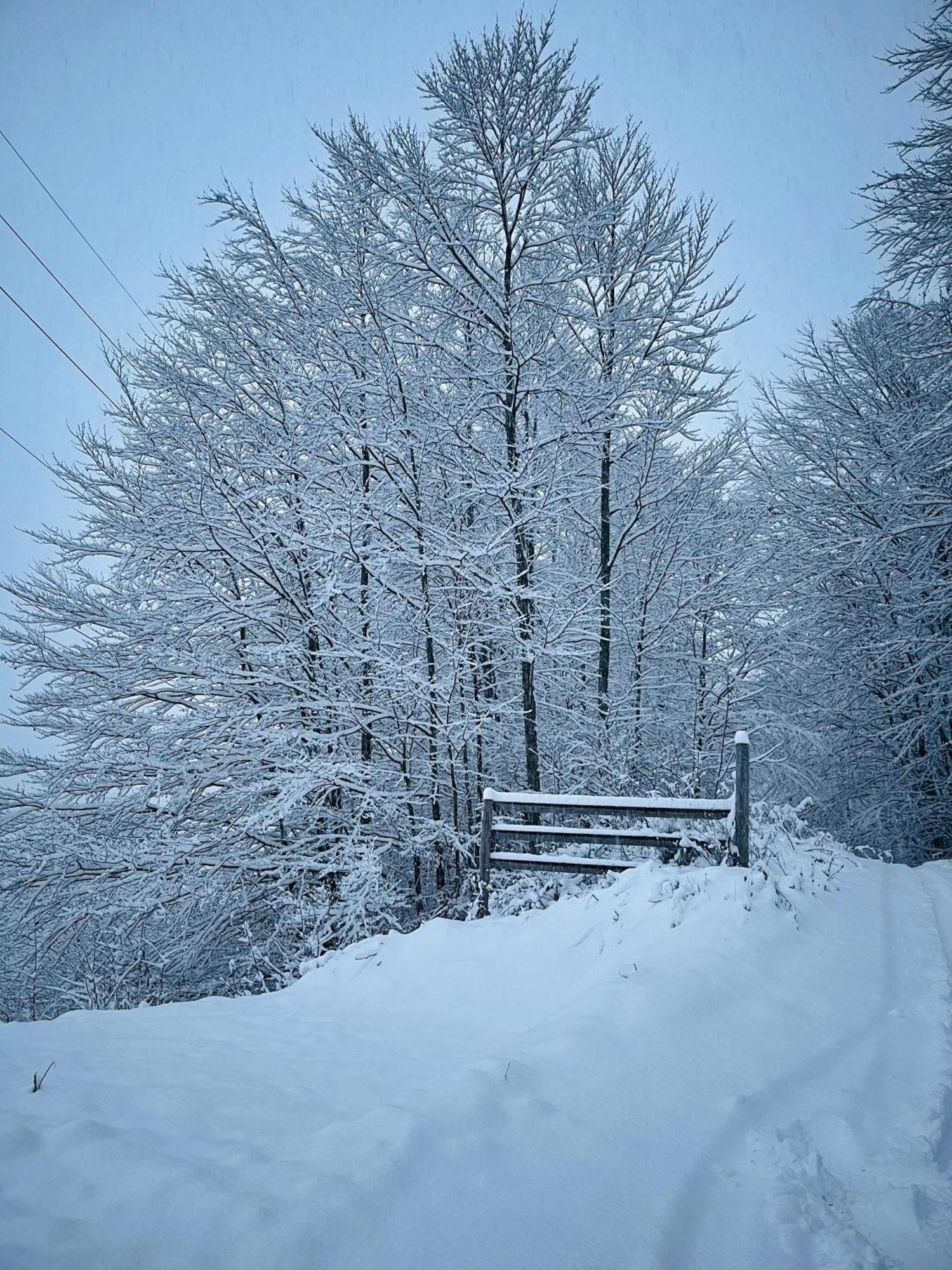 Wild Cabin มาลายา ภายนอก รูปภาพ
