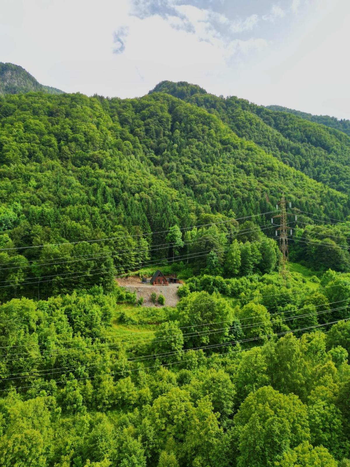 Wild Cabin มาลายา ภายนอก รูปภาพ